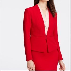 ANN TAYLOR SKIRT- New without tags- size 8